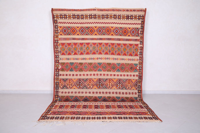 Vintage Moroccan Rug - 5.9 x 9.5 ft | Geometric Tribal Patterns